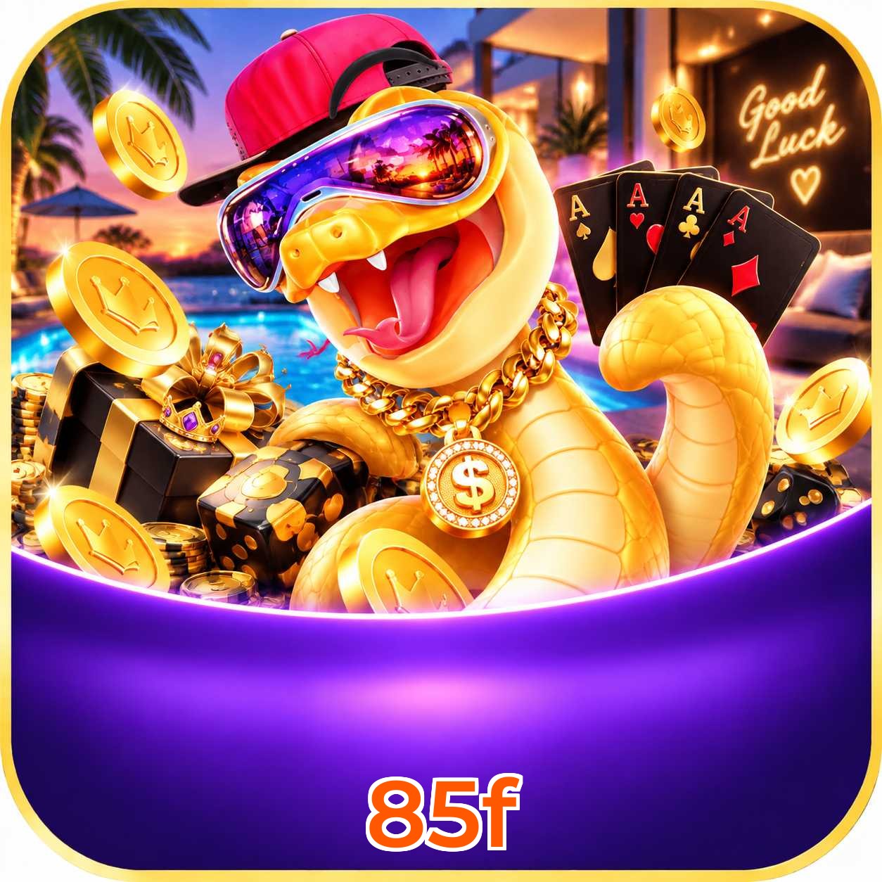85f VIP FAQ